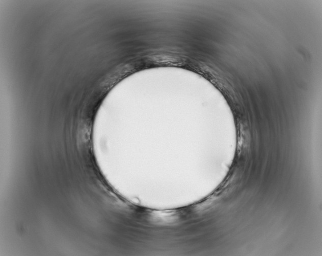 X0000111250281200908131213