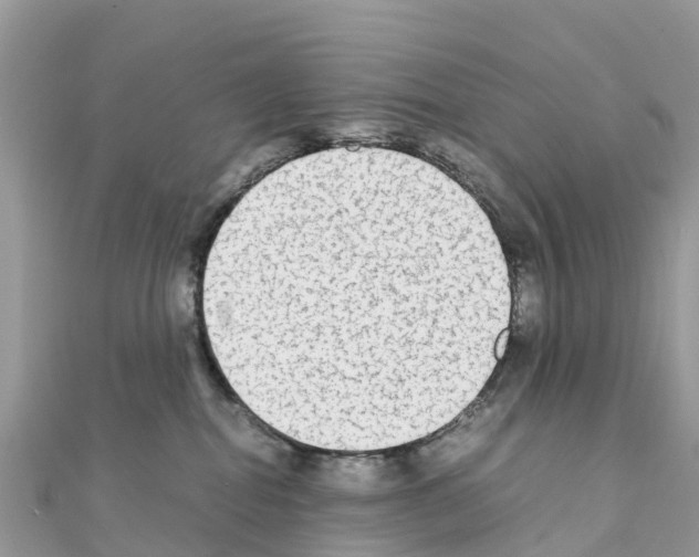 X0000111250282200908131213