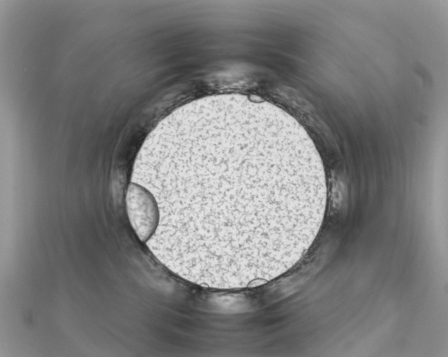 X0000111250283200908131213