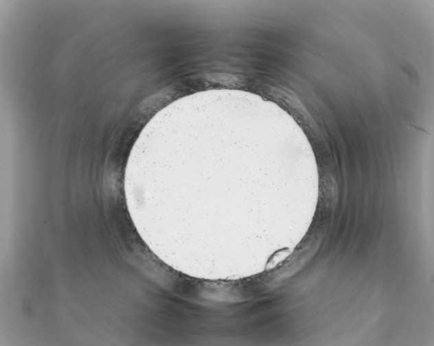 X0000111250285200908131213