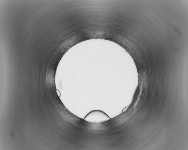 X0000111250287200908131213