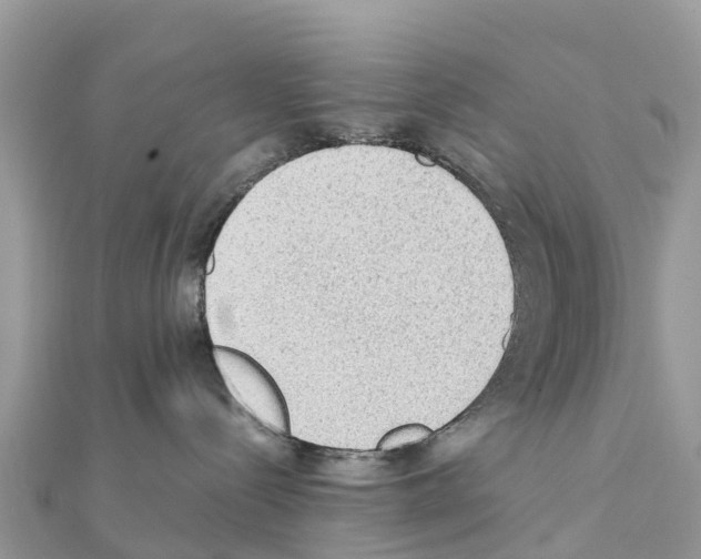 X0000111250288200908131214