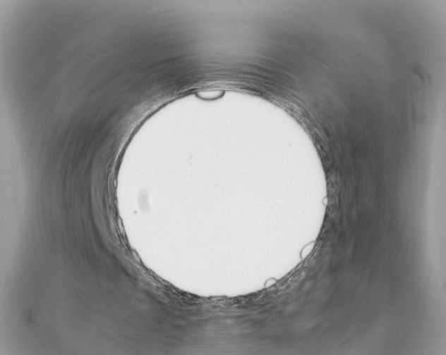 X0000111250289200908131213