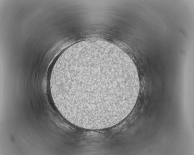 X0000111250290200908131213