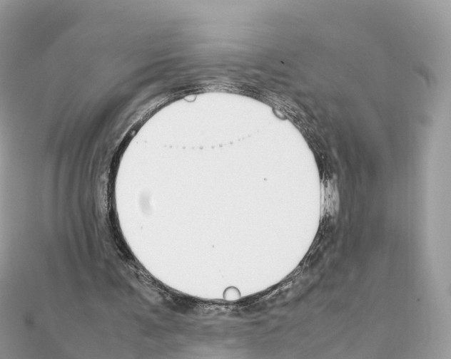 X0000111250291200908131213