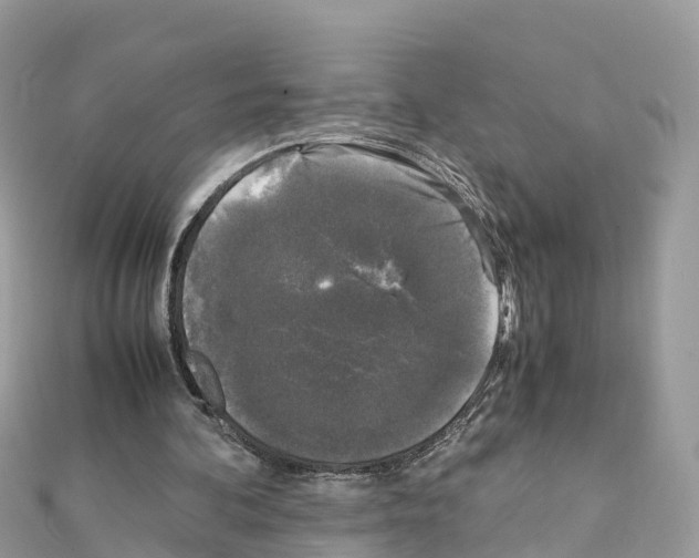 X0000111250292200908131213