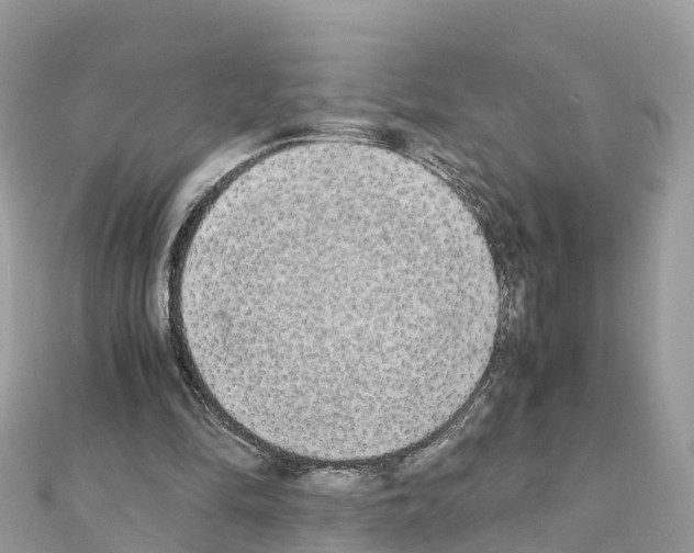 X0000111250294200908131213