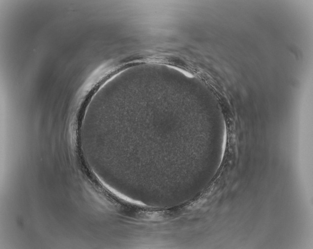 X0000111250295200908131213