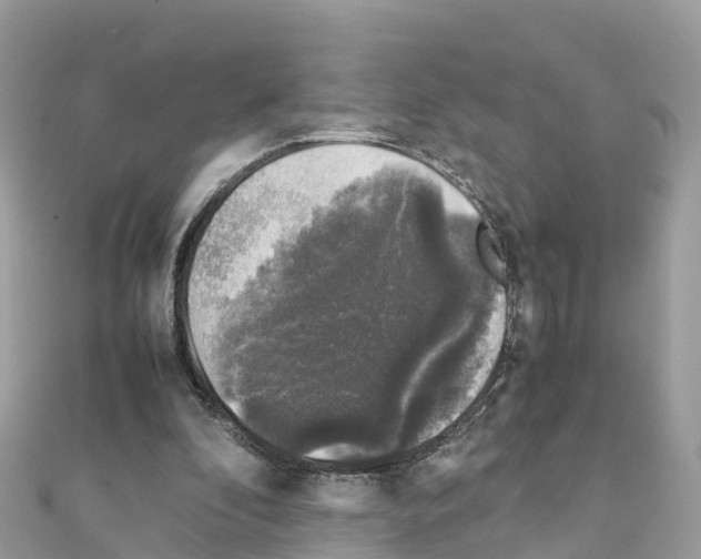 X0000111250296200908131213