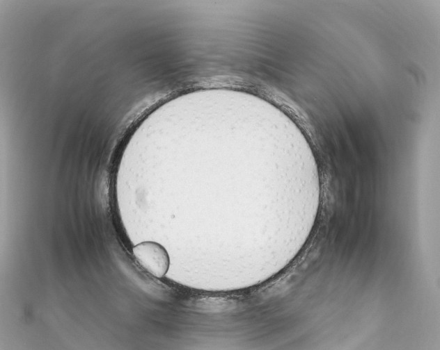 X0000111250298200908131213