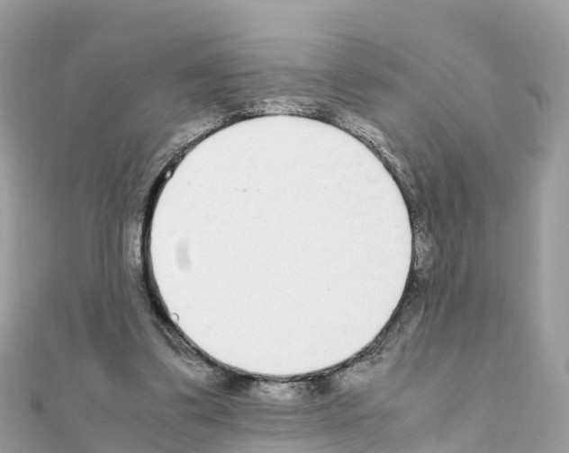 X0000111250299200908131213