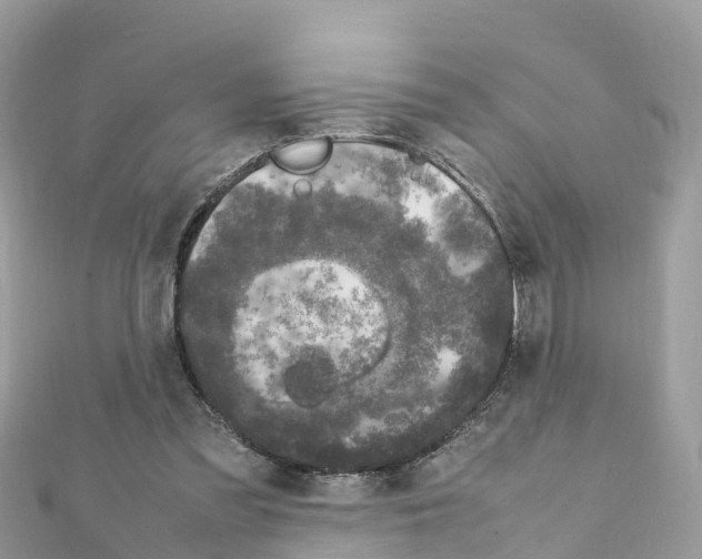 X0000111250301200908131213