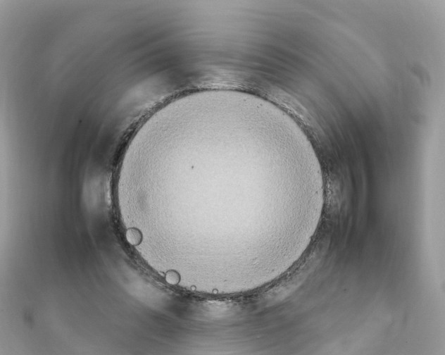 X0000111250302200908131213