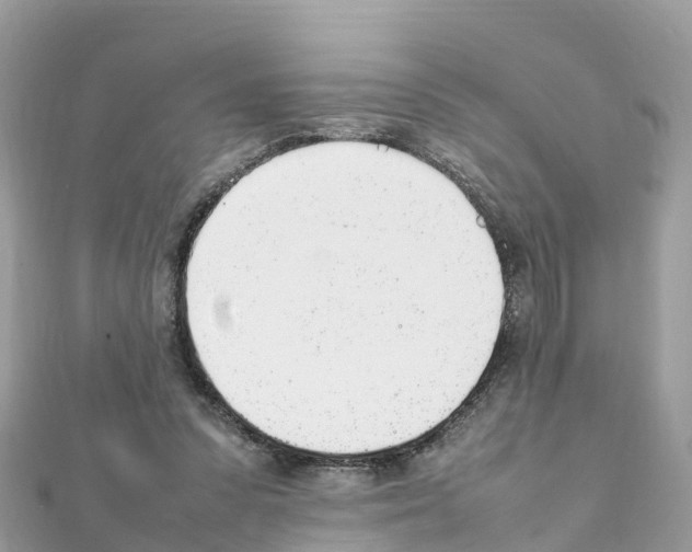 X0000111250303200908131213