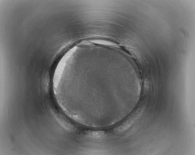 X0000111250304200908131213