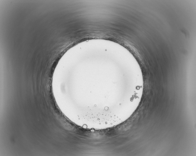 X0000111250305200908131213