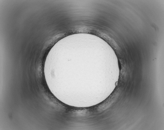 X0000111250306200908131213