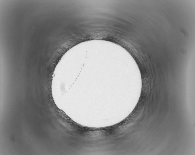 X0000111250307200908131213