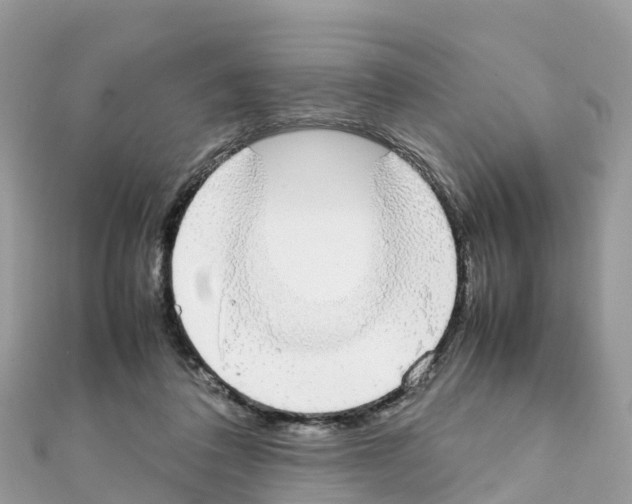 X0000111250308200908131213