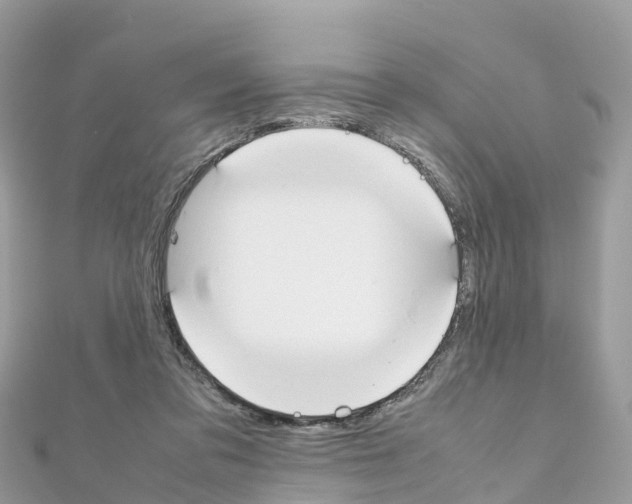 X0000111250309200908131213