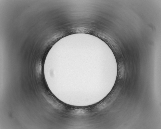 X0000111250310200908131213