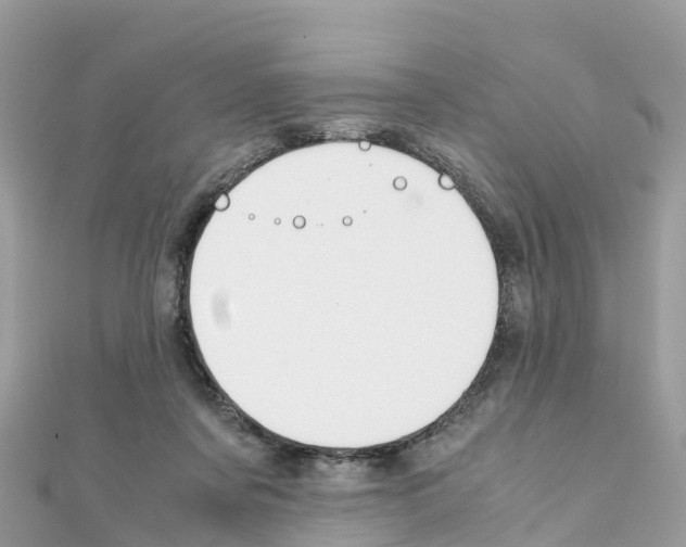 X0000111250311200908131213