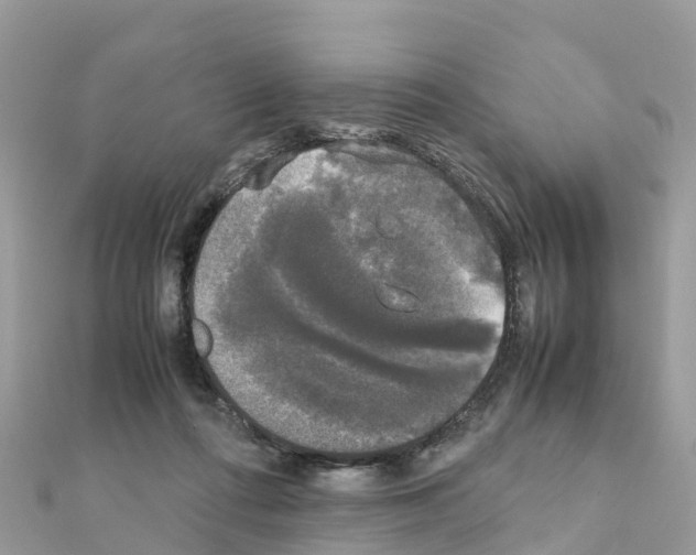 X0000111250312200908131213