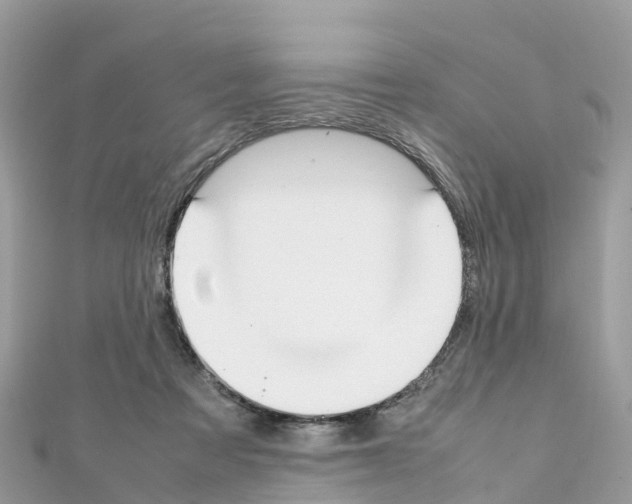 X0000111250313200908131213