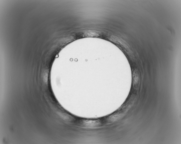 X0000111250315200908131213