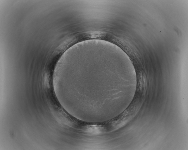 X0000111250316200908131213