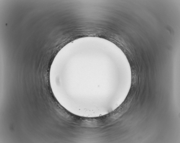 X0000111250317200908131213