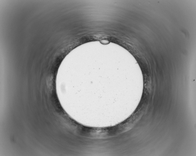 X0000111250319200908131212