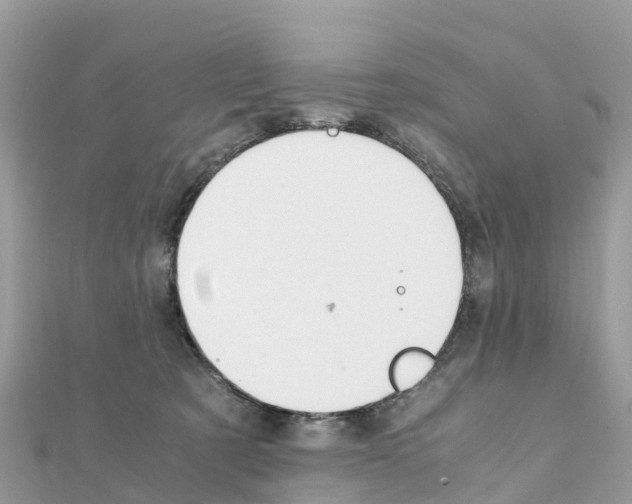 X0000111250321200908131212