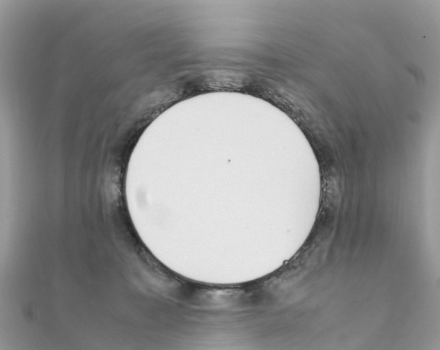 X0000111250323200908131212