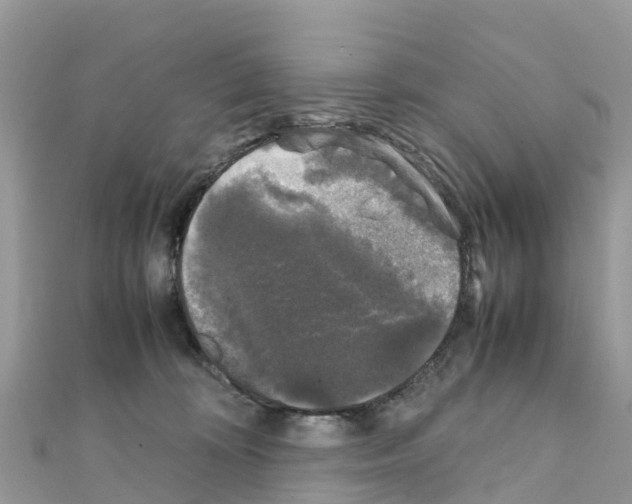 X0000111250324200908131212