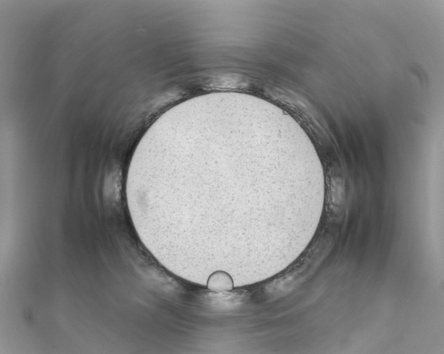 X0000111250326200908131212