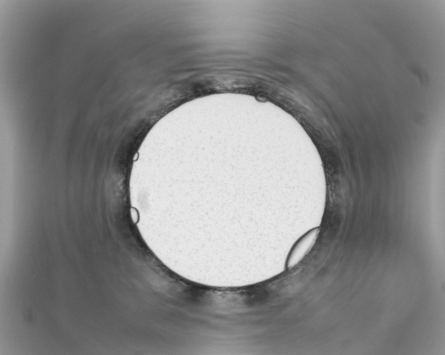 X0000111250327200908131212