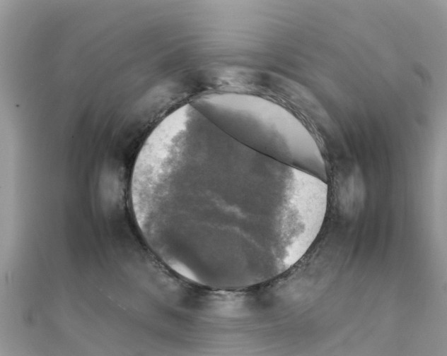 X0000111250328200908131212