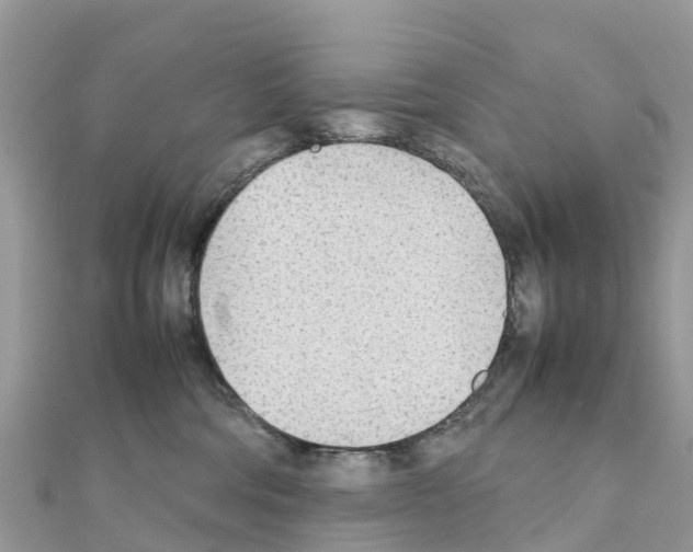 X0000111250330200908131212