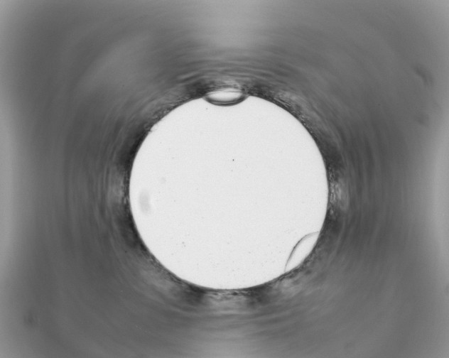 X0000111250331200908131212