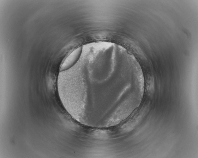 X0000111250332200908131212