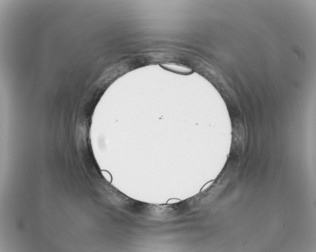 X0000111250333200908131212