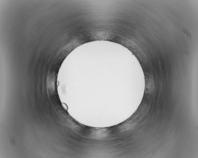 X0000111250334200908131212