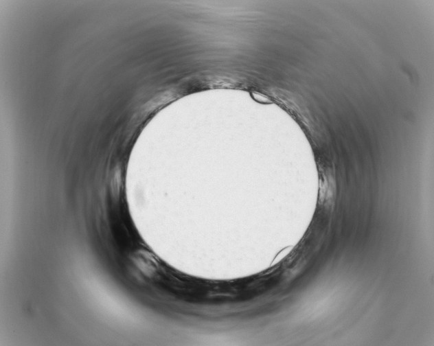 X0000111250335200908131212