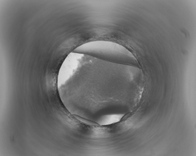 X0000111250336200908131212