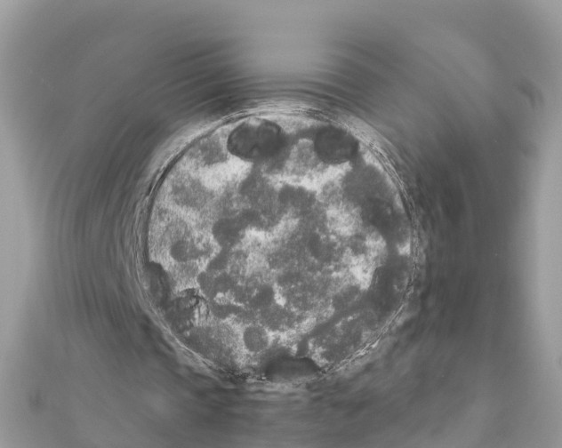 X0000111250337200908131212