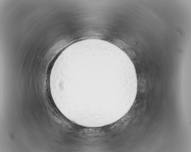 X0000111250338200908131212