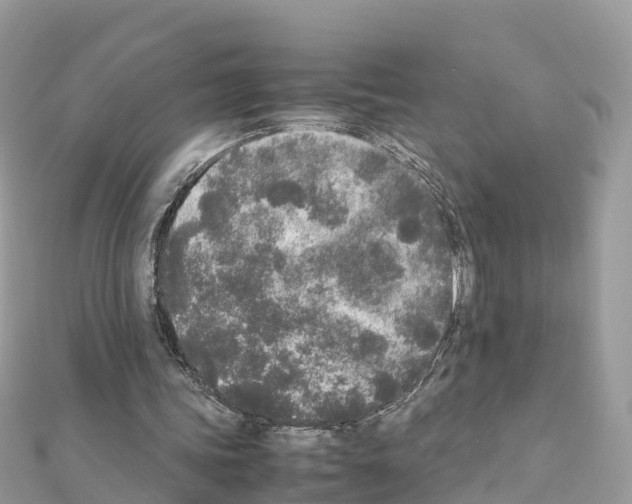 X0000111250339200908131212