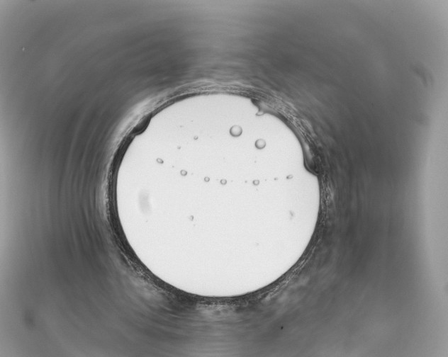 X0000111250340200908131212