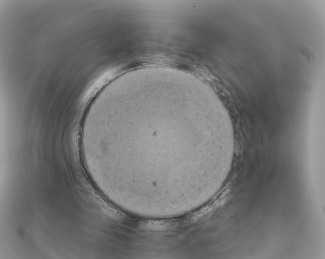 X0000111250341200908131212